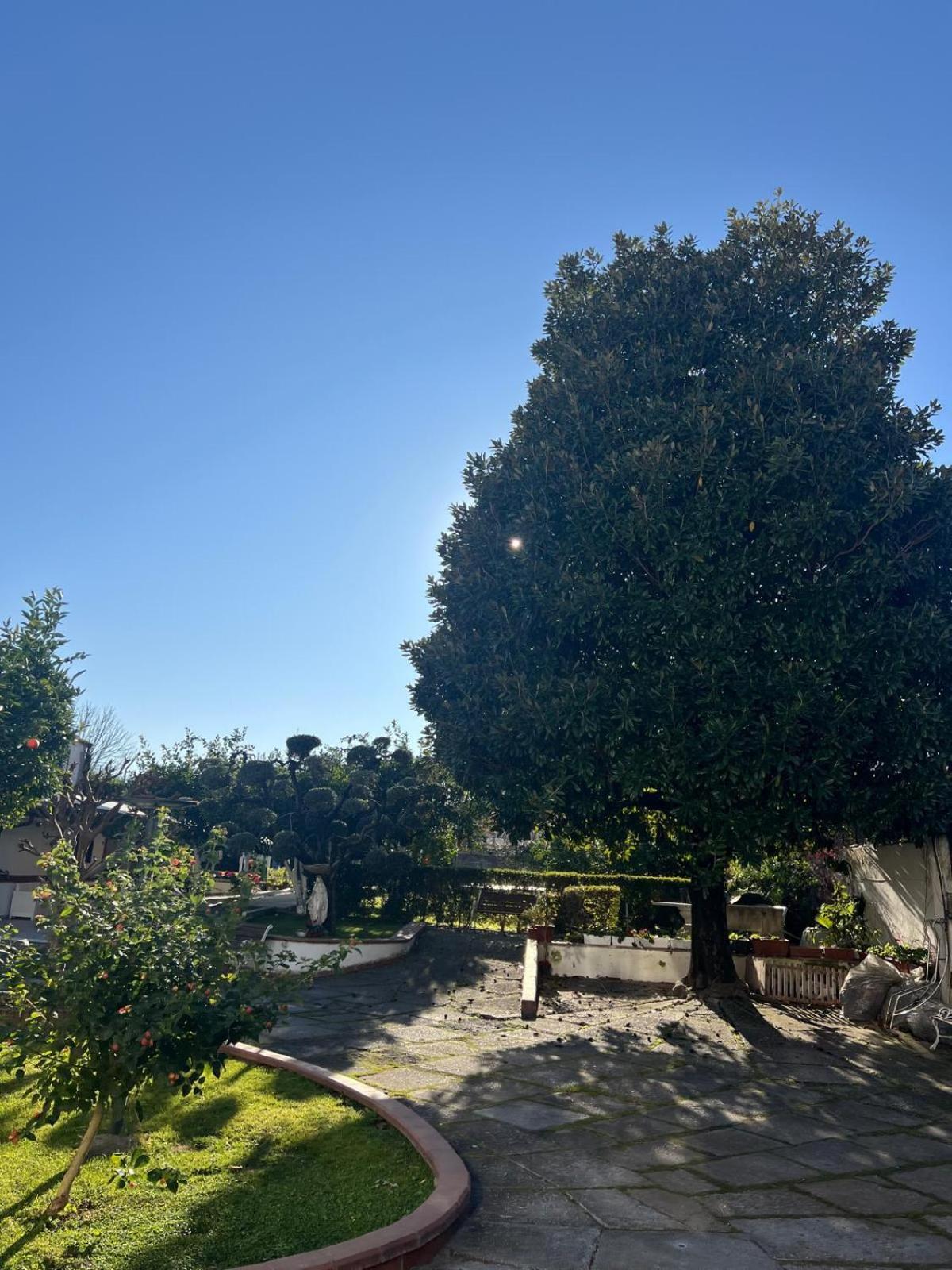 Maison Aielli 112 San Giuseppe Vesuviano Kültér fotó